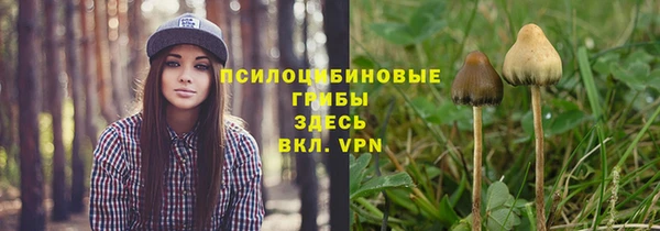 гашик Абинск